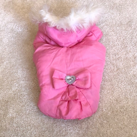 smoochie pooch | Dog | Smoochie Pooch 